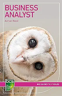 Recommended Book 5 for Business Analyst