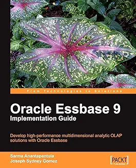 Recommended Book 5 for Essbase