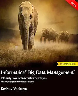 Recommended Book 2 for Informatica