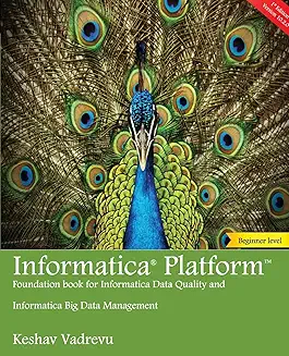 Recommended Book 5 for Informatica