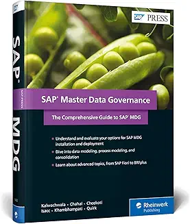 Recommended Book 4 for SAP MDM
